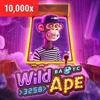 Chiến lược cá cược wim55 nhà cái