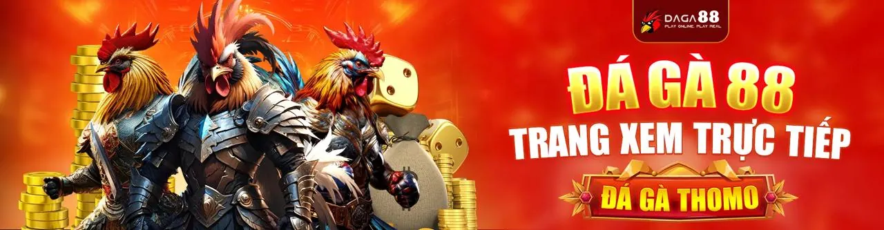 Sân đá gà trực tuyến sôi động tại wim55 nhà cái
