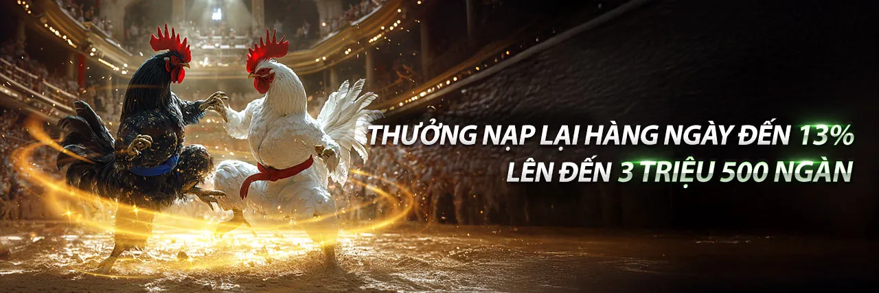 Đá gà trực tuyến kịch tính tại Wim55 Nhà Cái